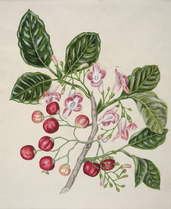Oshibana Floral Art Piece