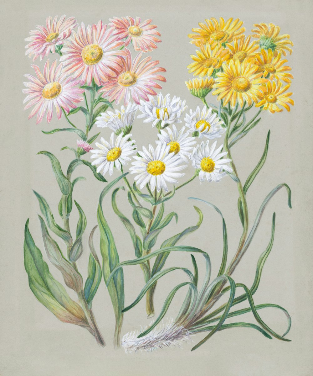 a painting of a bunch of flowers on a white background