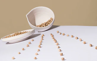 Artistic arrangement of dried chickpeas and kidney beans in small ceramic dishes.