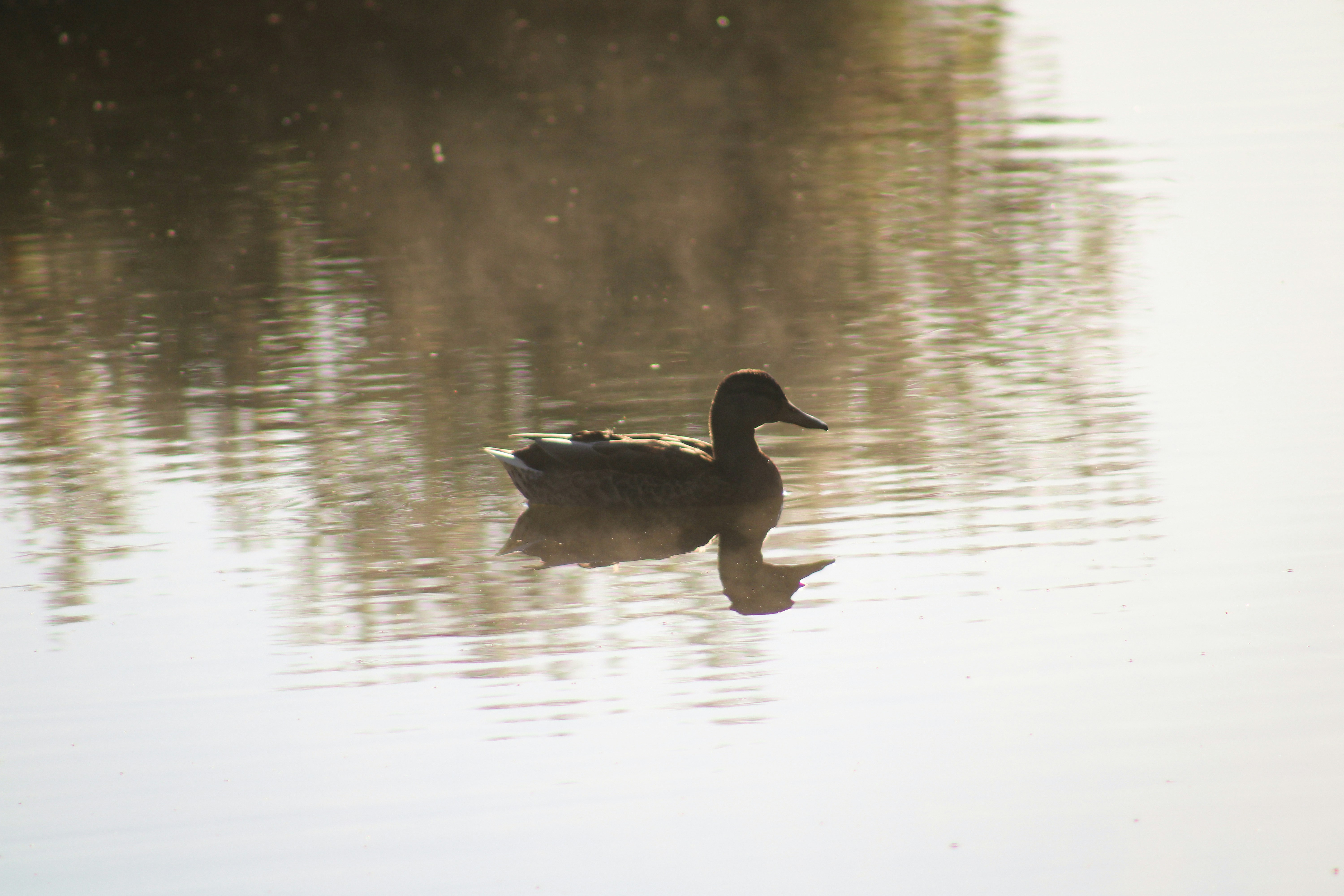 Photo by _jellephotography