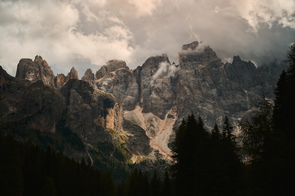 a mountain range covered in trees under a cloudy sky