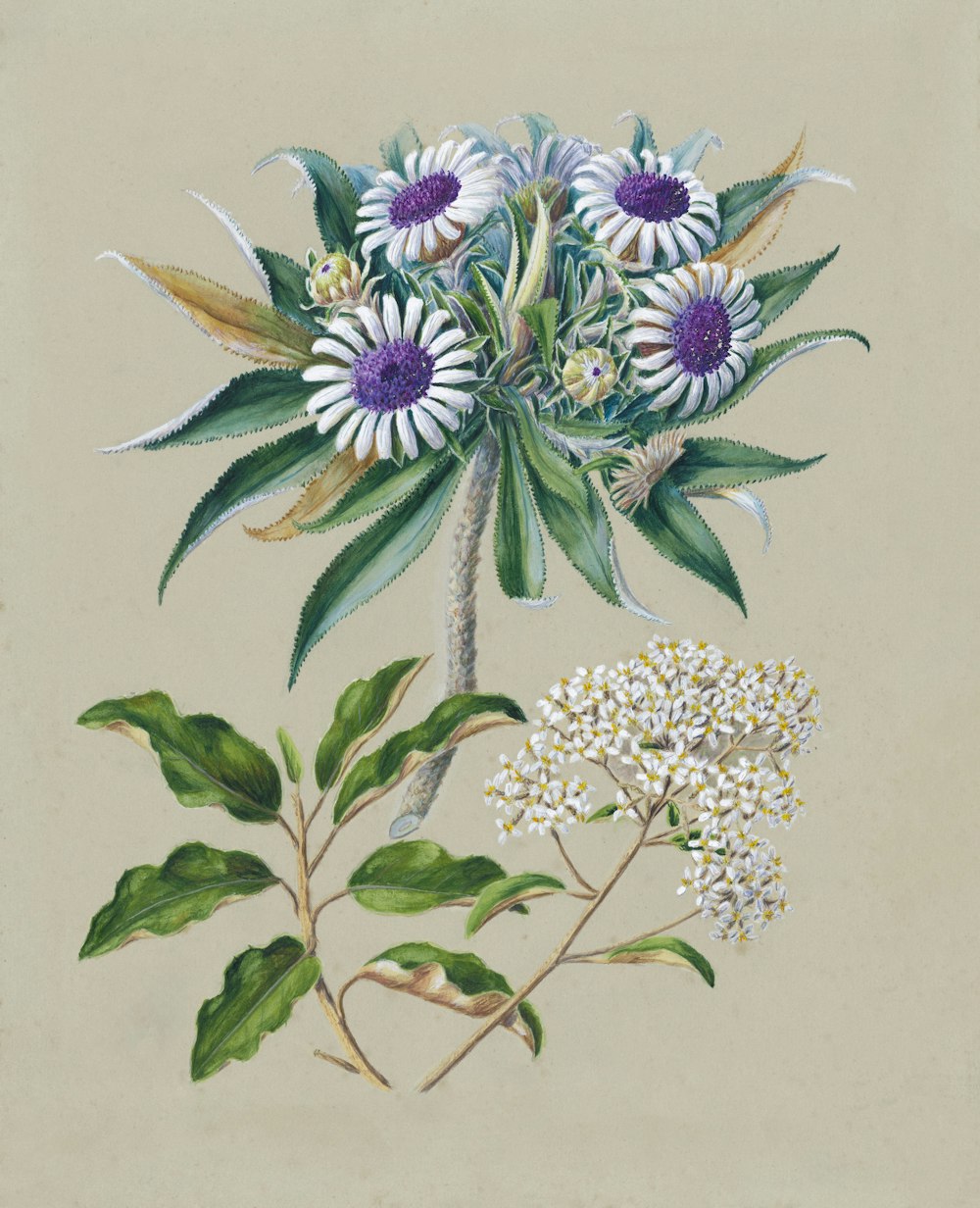 a drawing of a bouquet of flowers with leaves