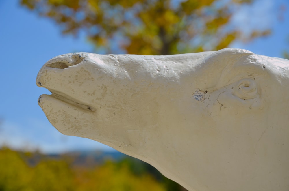 a close up of a statue of a bear