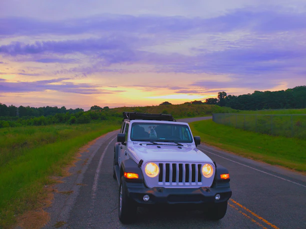 A jeep winding through lush green jungle trails under a bright blue sky.