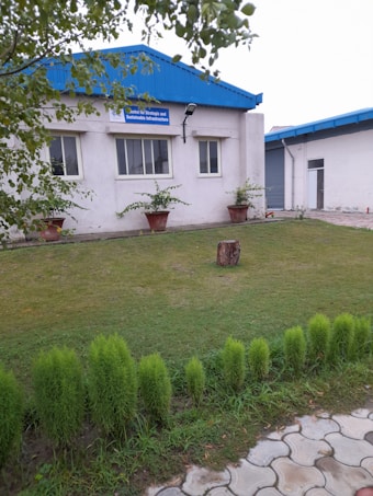 A building with a blue roof and a sign that reads 'Centre for Strategic and Sustainable Infrastructure' is situated behind a neatly maintained lawn. In front of the building are several large potted plants and a tree stump on the grass. The foreground features a row of small, green bushes along a paved pathway. Tree branches partially frame the image from above.