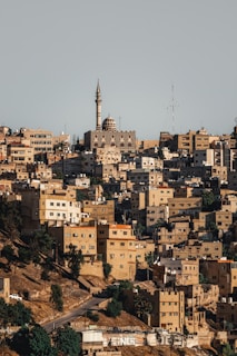 a view of a city from a hill