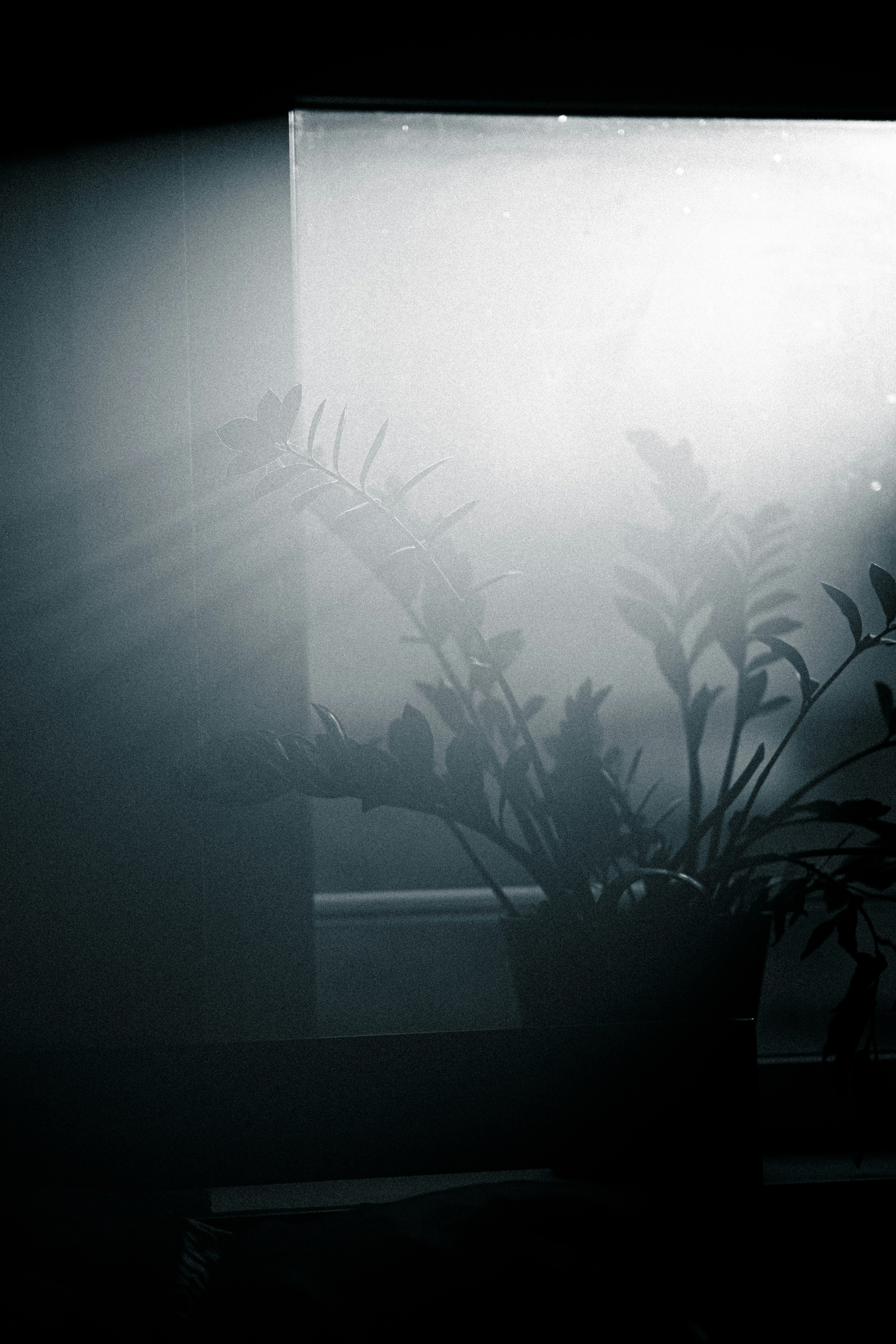 Photo by fabianbaechli