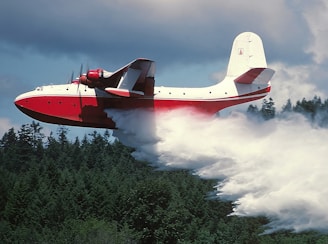 A large red and white aircraft is releasing a stream of water over a dense forest. The action suggests that the plane is involved in aerial firefighting. The sky is cloudy, adding to the dramatic effect of the scene.
