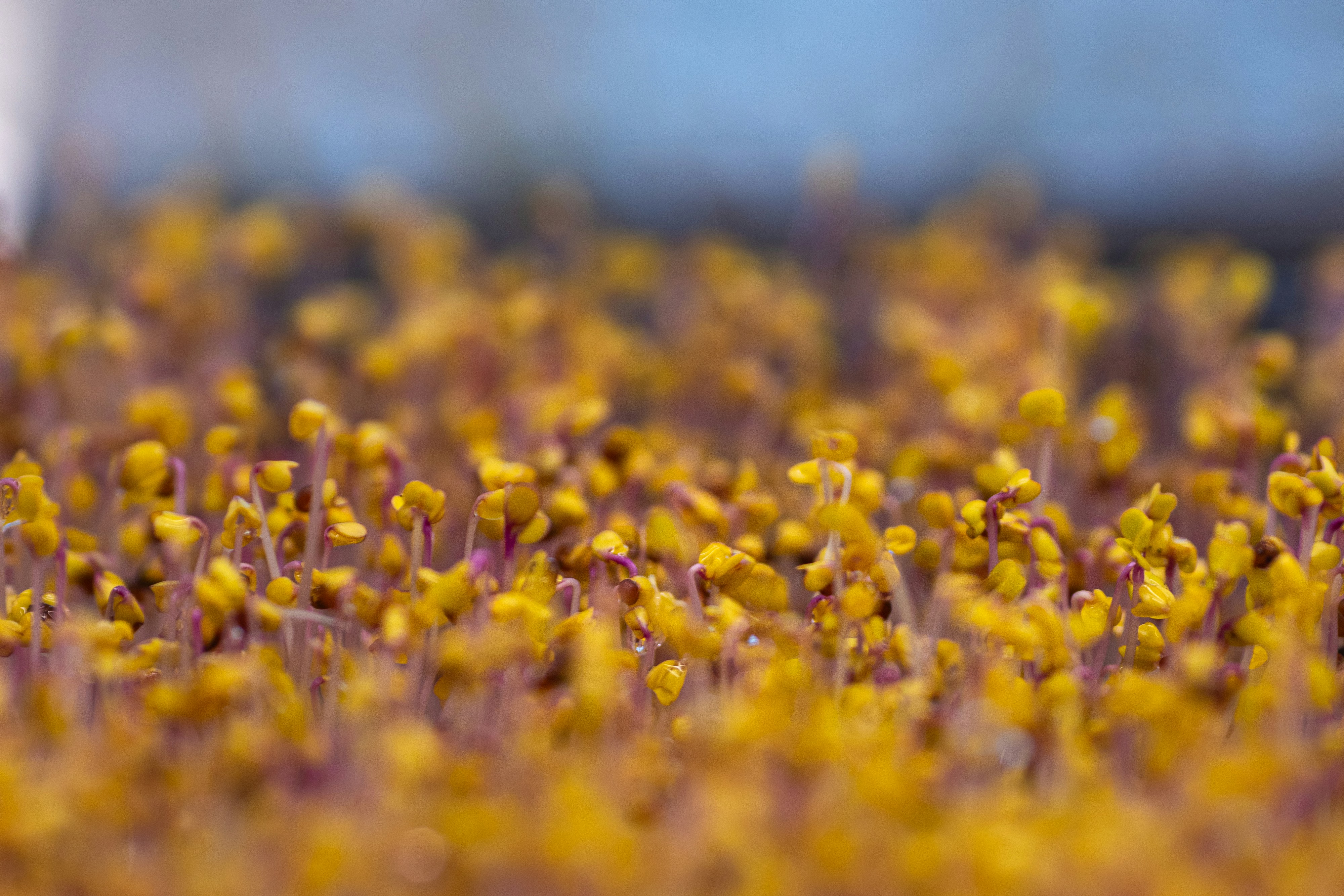 Photo by filipp_roman_photography