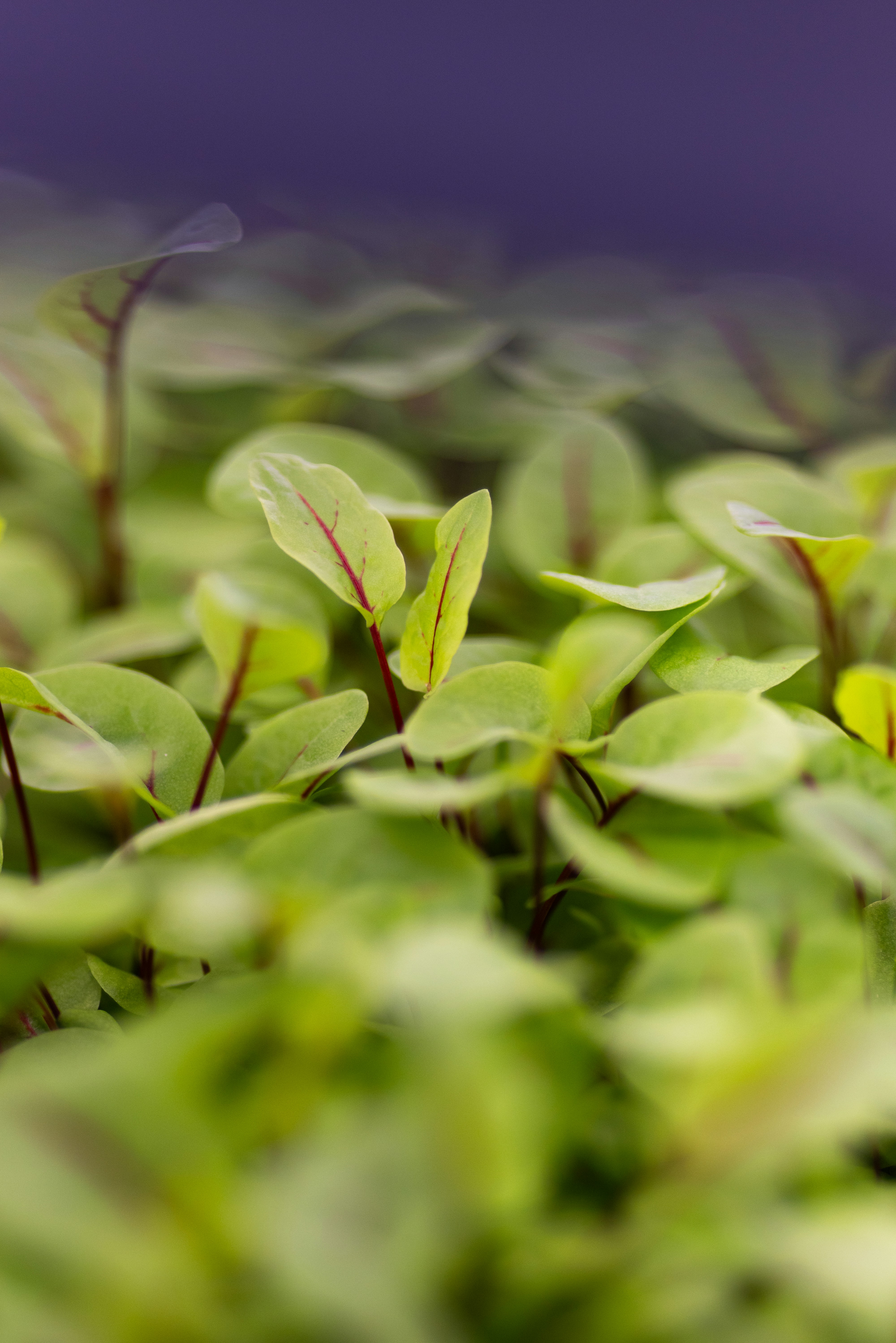 Photo by filipp_roman_photography