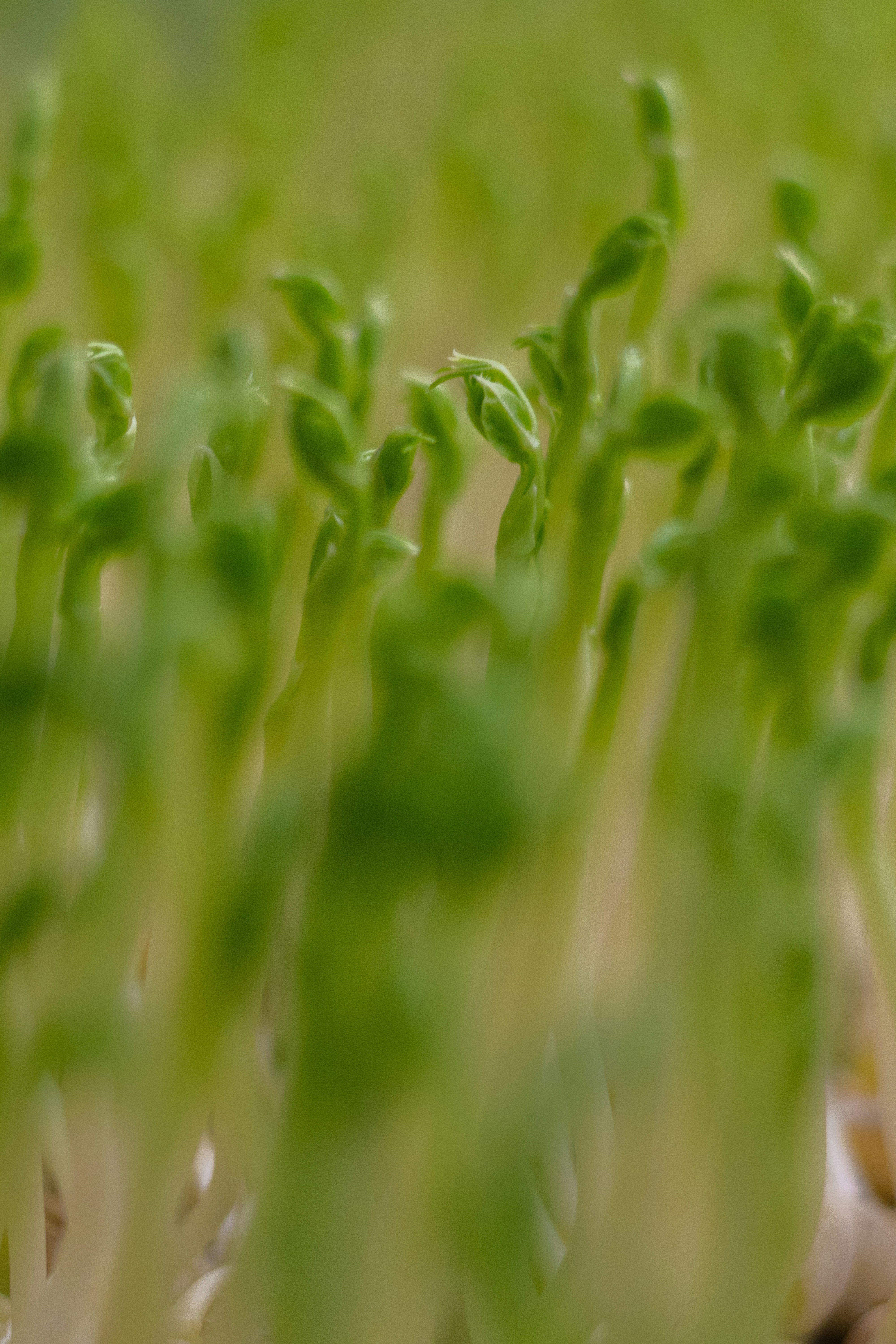 Photo by filipp_roman_photography