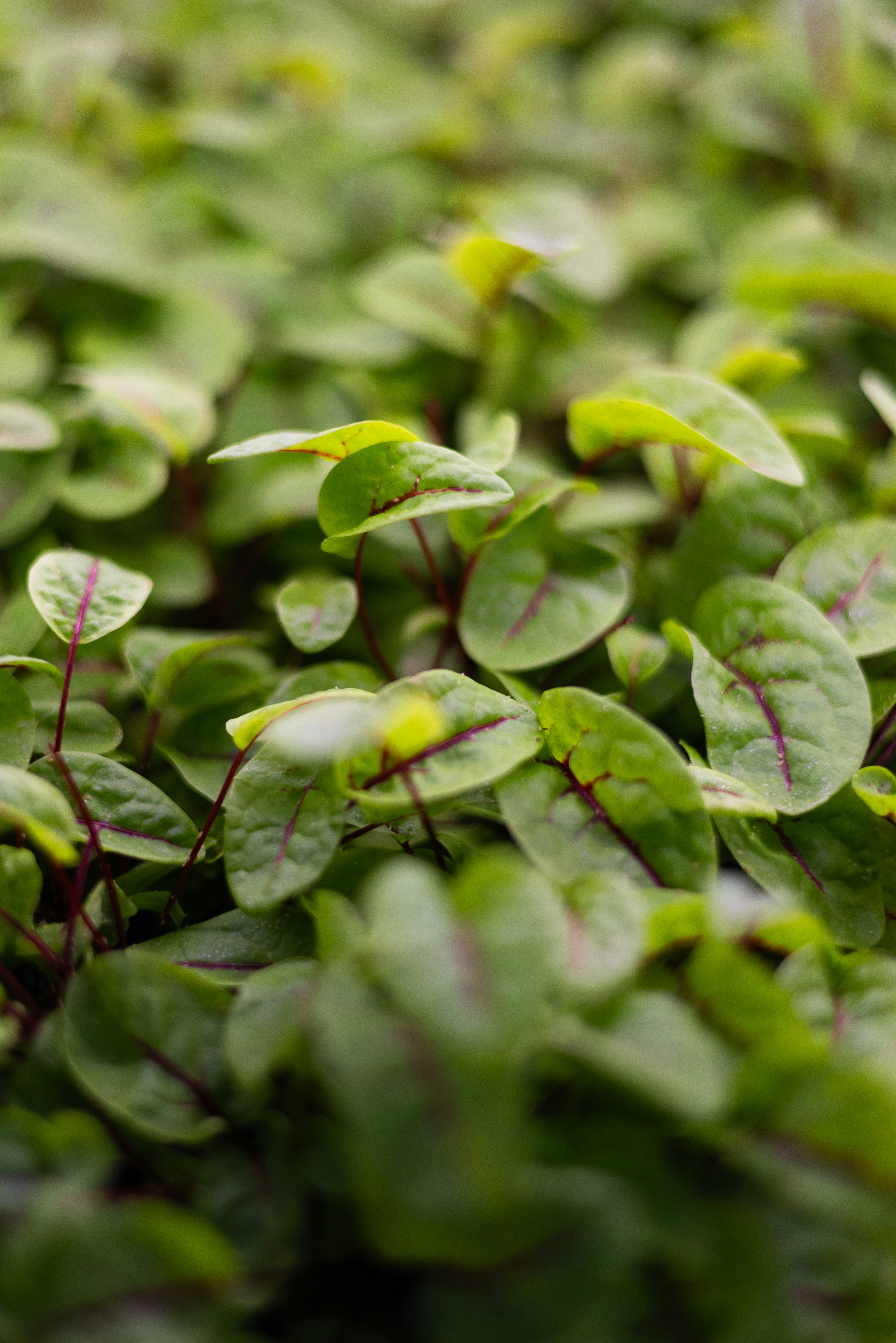 Photo by filipp_roman_photography