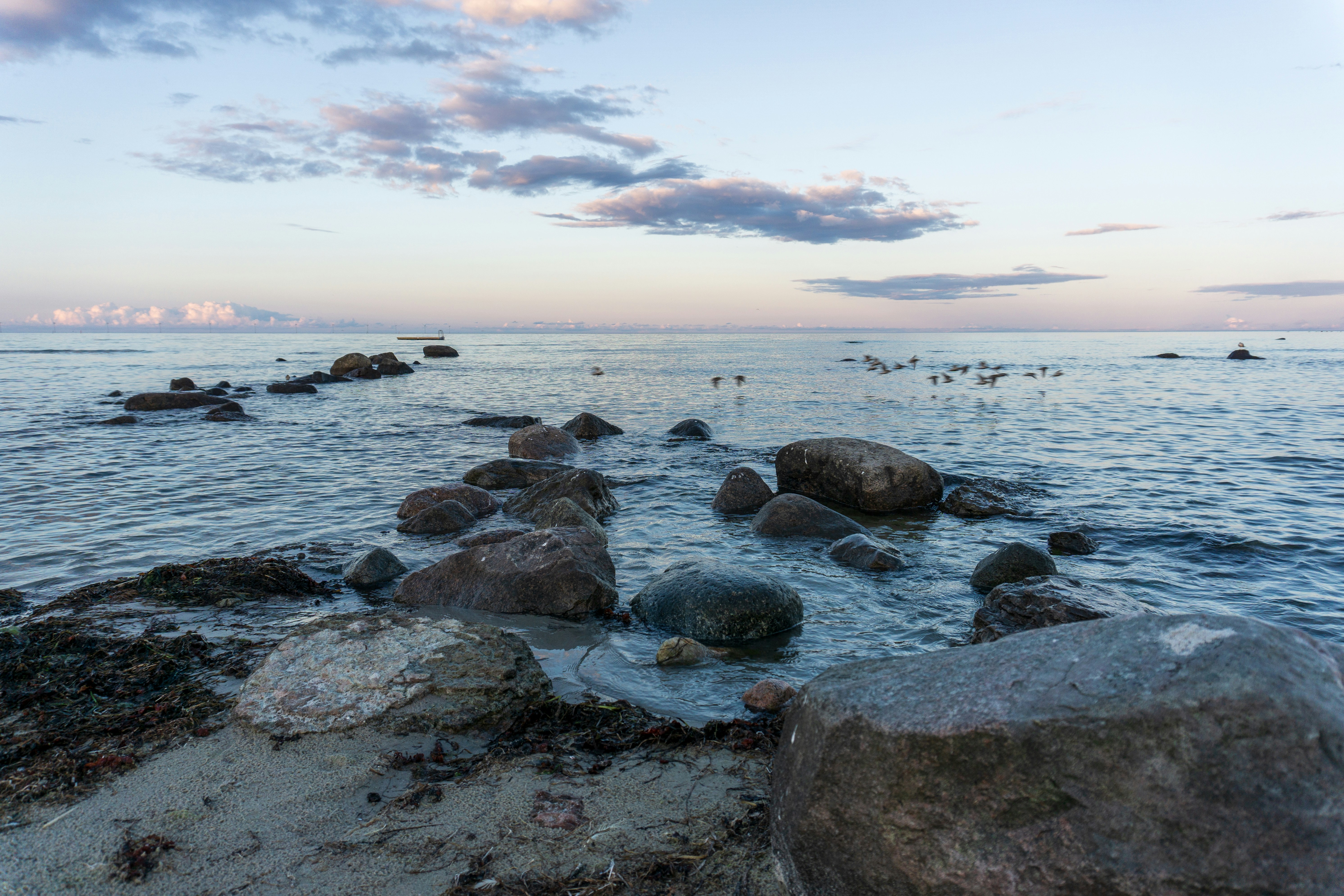 Photo by karin_lehtonen