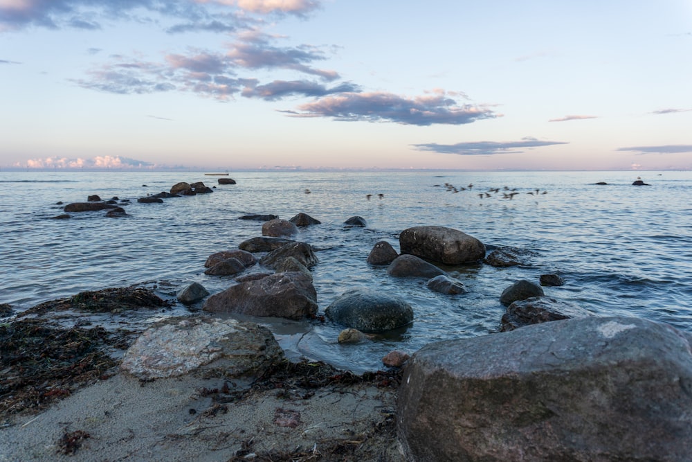 Un gruppo di rocce sedute sulla cima di una spiaggia vicino all'oceano