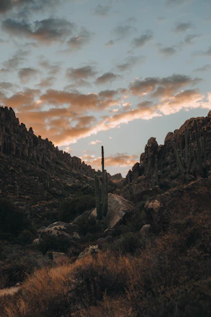 A cinematic shot of Jujuy's rugged landscape at sunset, blending natural beauty with artistic inspiration.