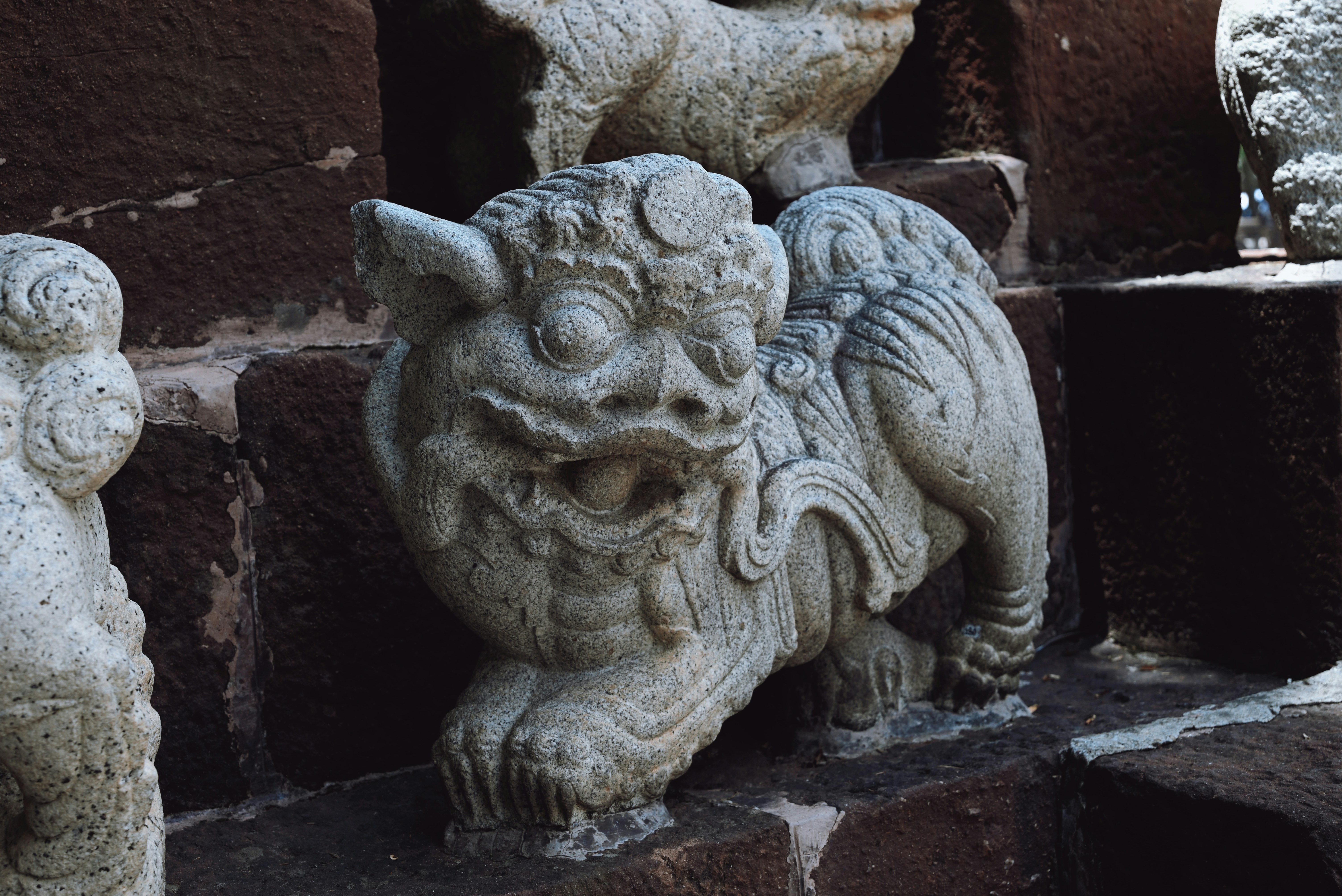 Photo by wangbinghua