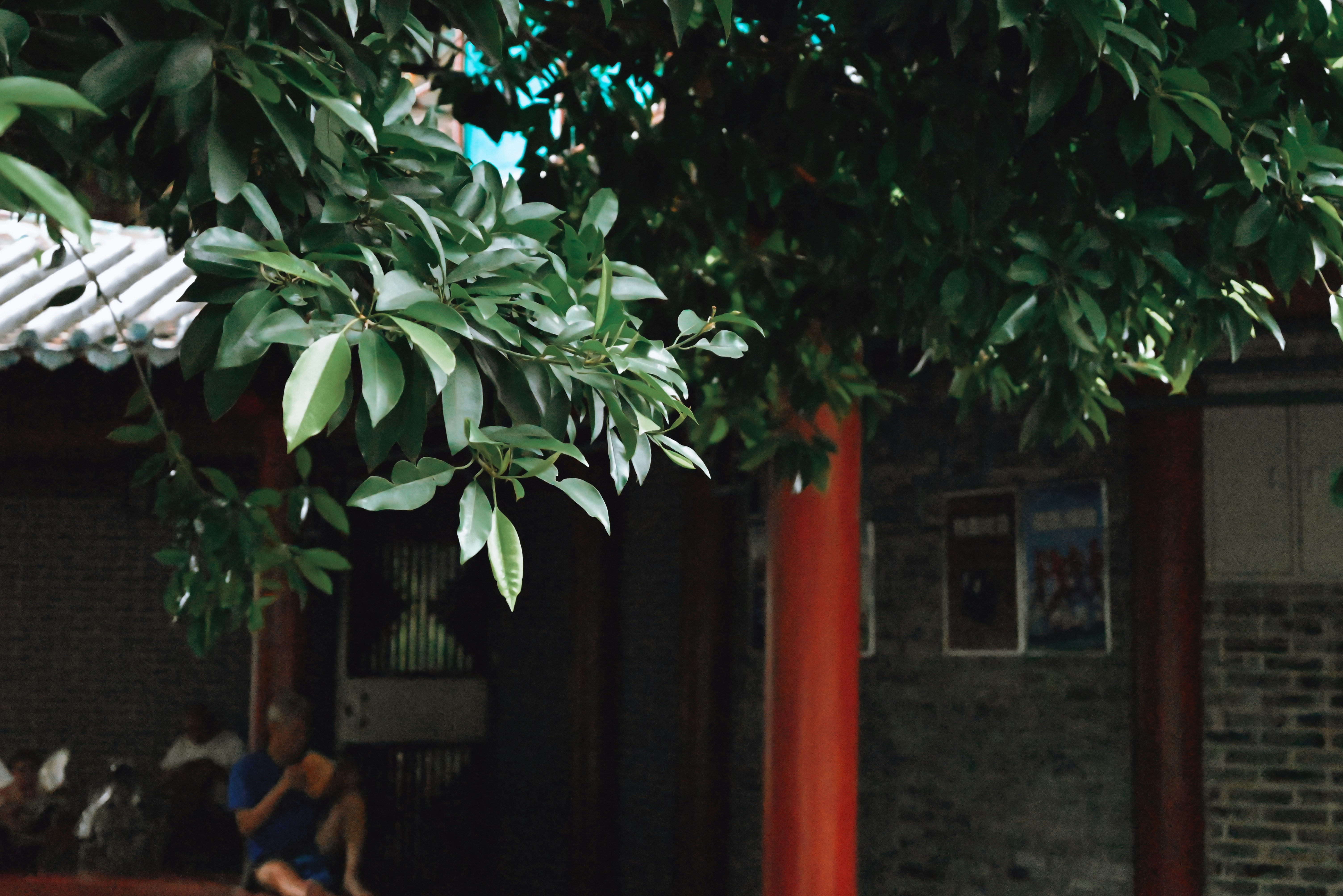 Photo by wangbinghua