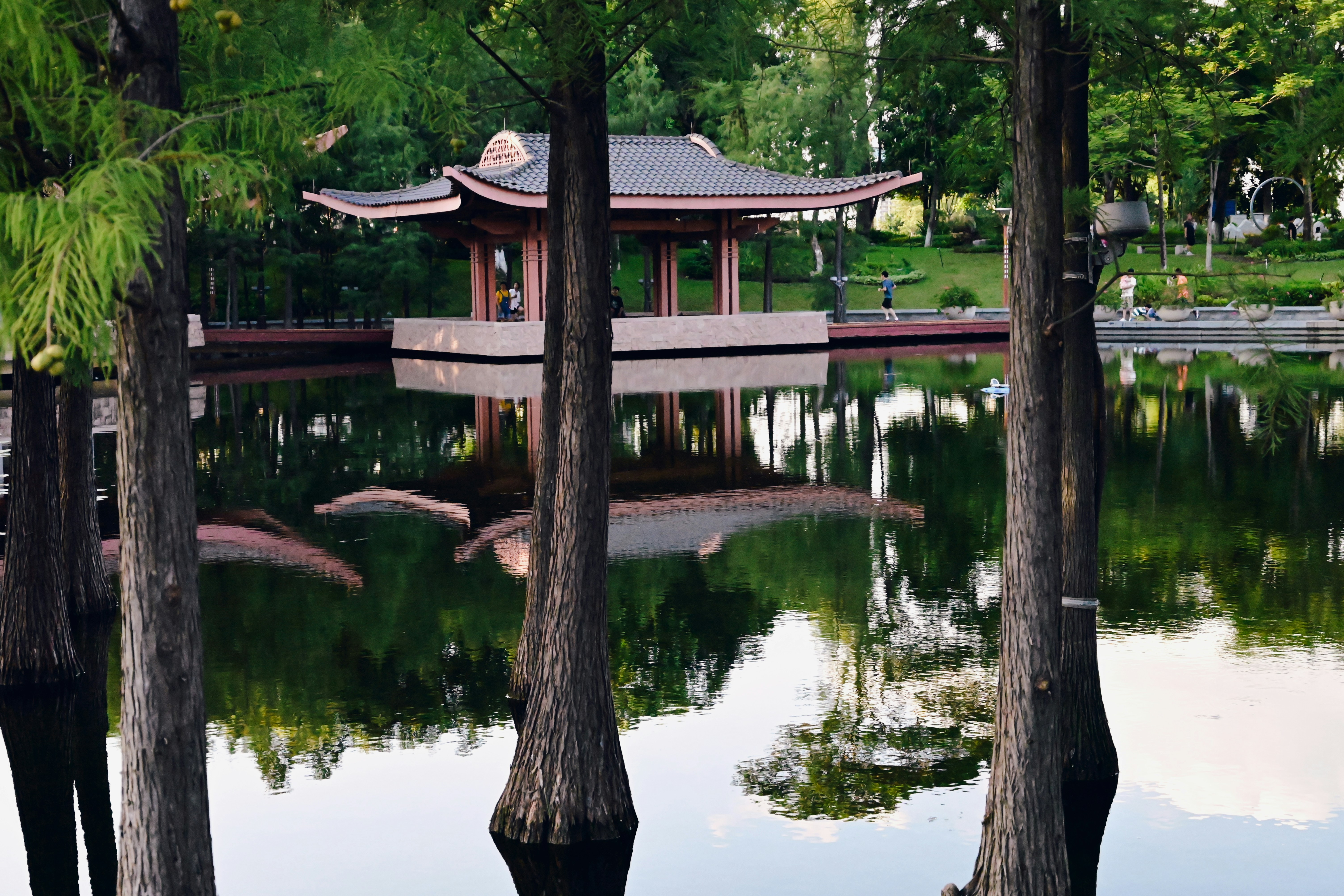 Photo by wangbinghua