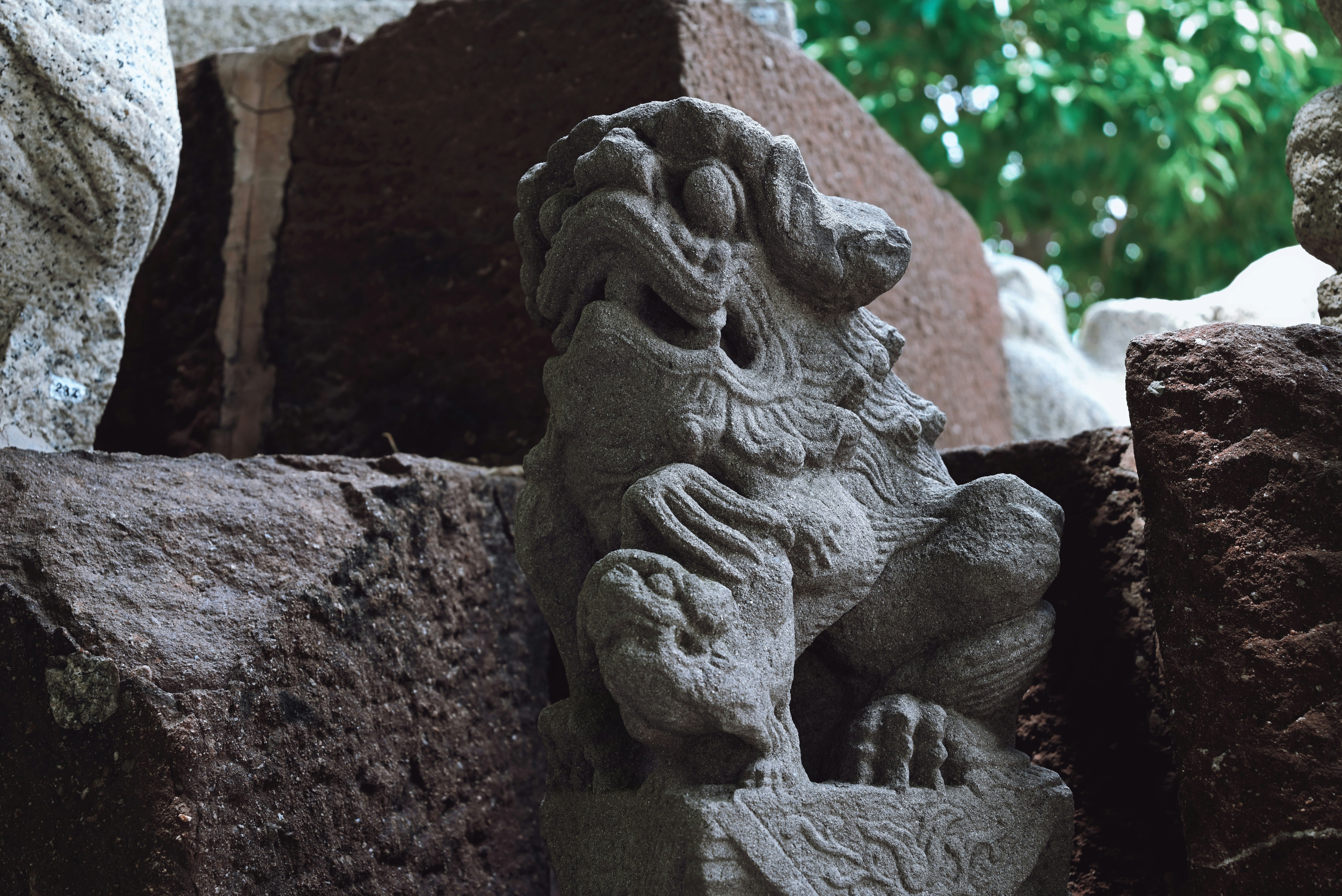 Photo by wangbinghua