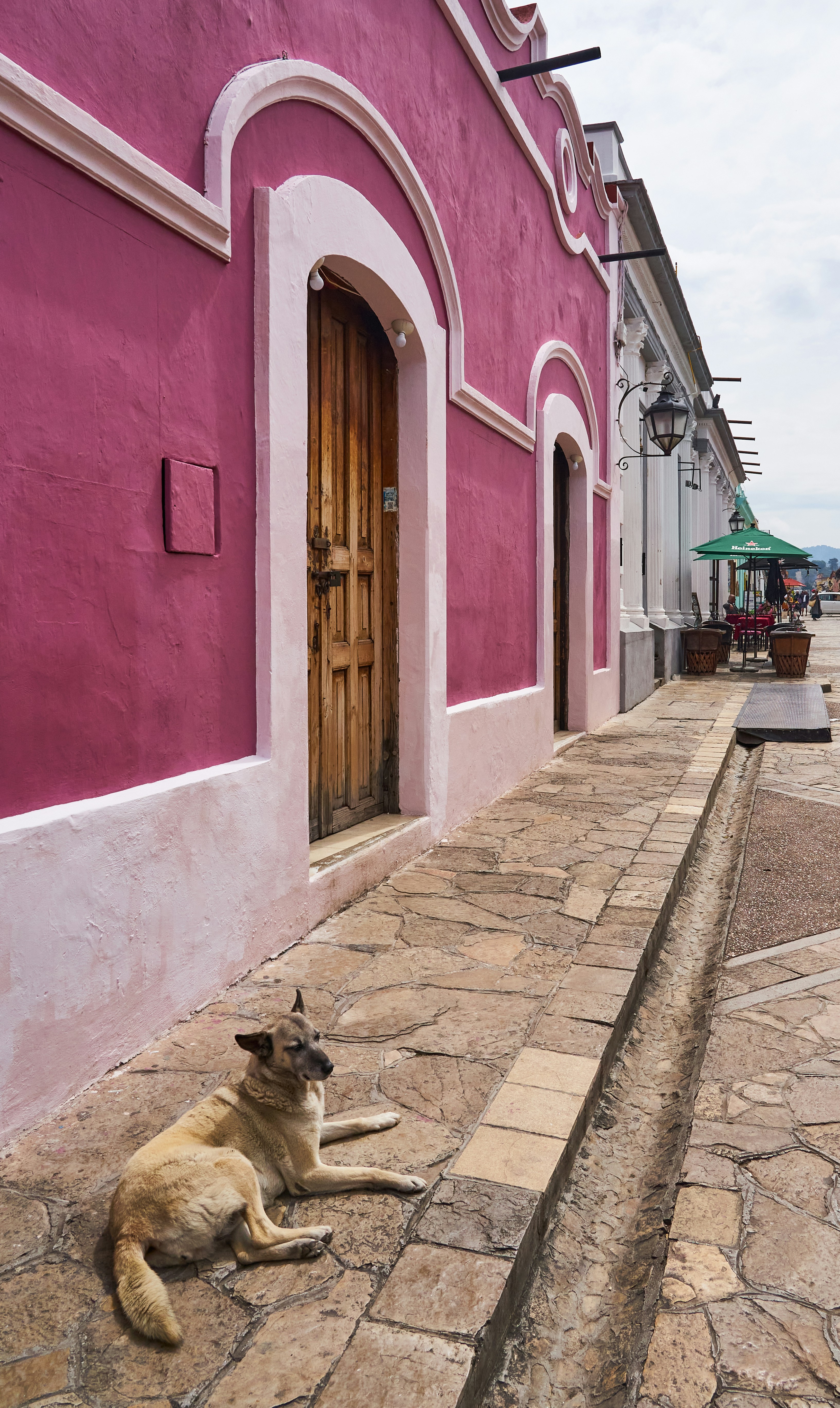 Affordable Dog-Friendly Hotels in Pennsylvania Under $100