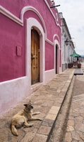 A rustic stone walkway leads along a vibrant pink and white building with wooden doors. A dog rests on the path, enjoying the peaceful surroundings. In the distance, a quaint outdoor seating area with green umbrellas is visible, alongside colonial-style street lamps.