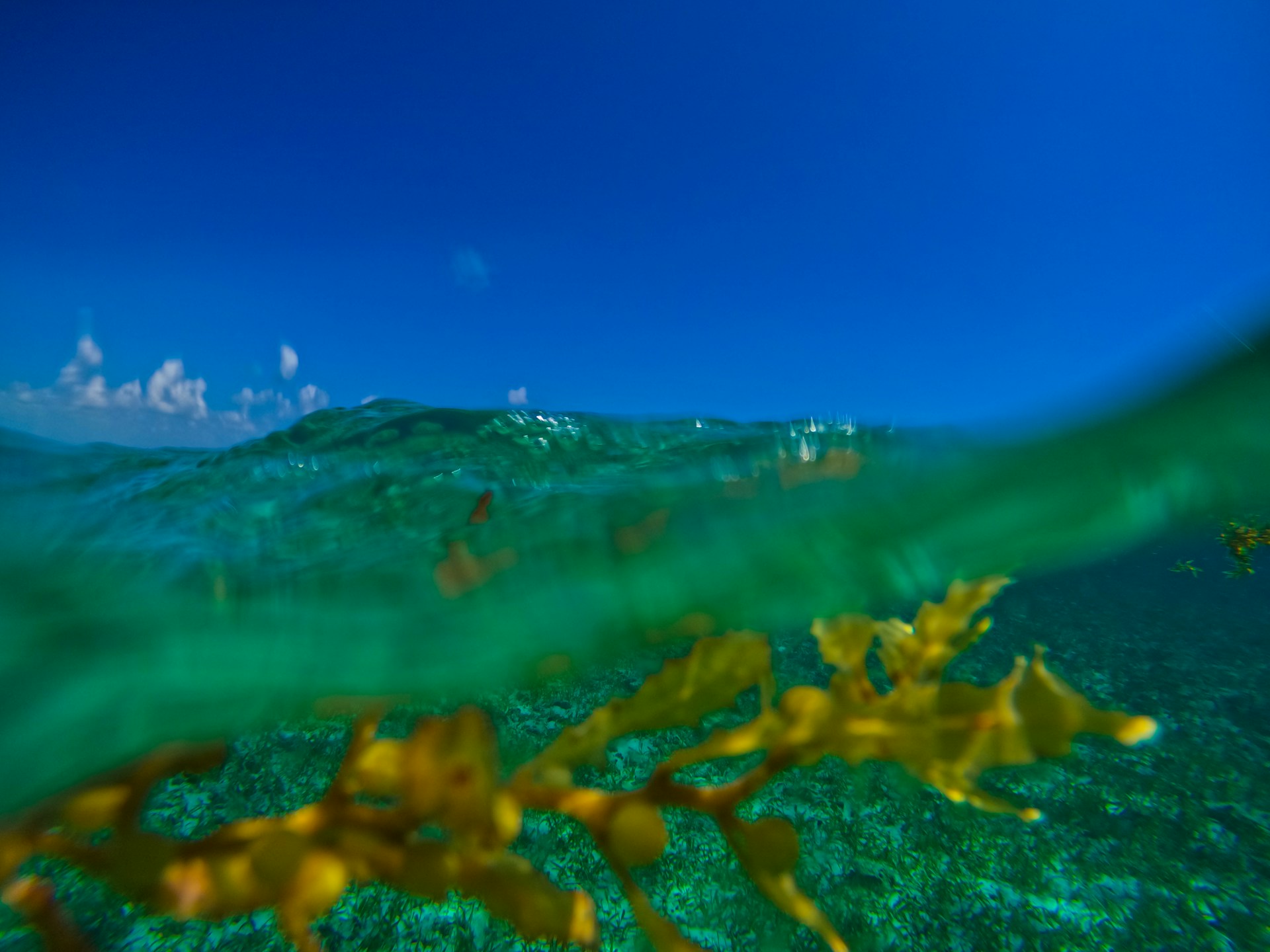 a view of the ocean from under the water