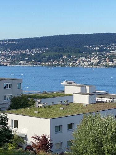 A serene lakeside cityscape featuring modern buildings with green roofs in the foreground and a vast body of water with a boat in the midground. Beyond the lake, a densely treed hillside and a town with numerous buildings are visible under a clear blue sky.