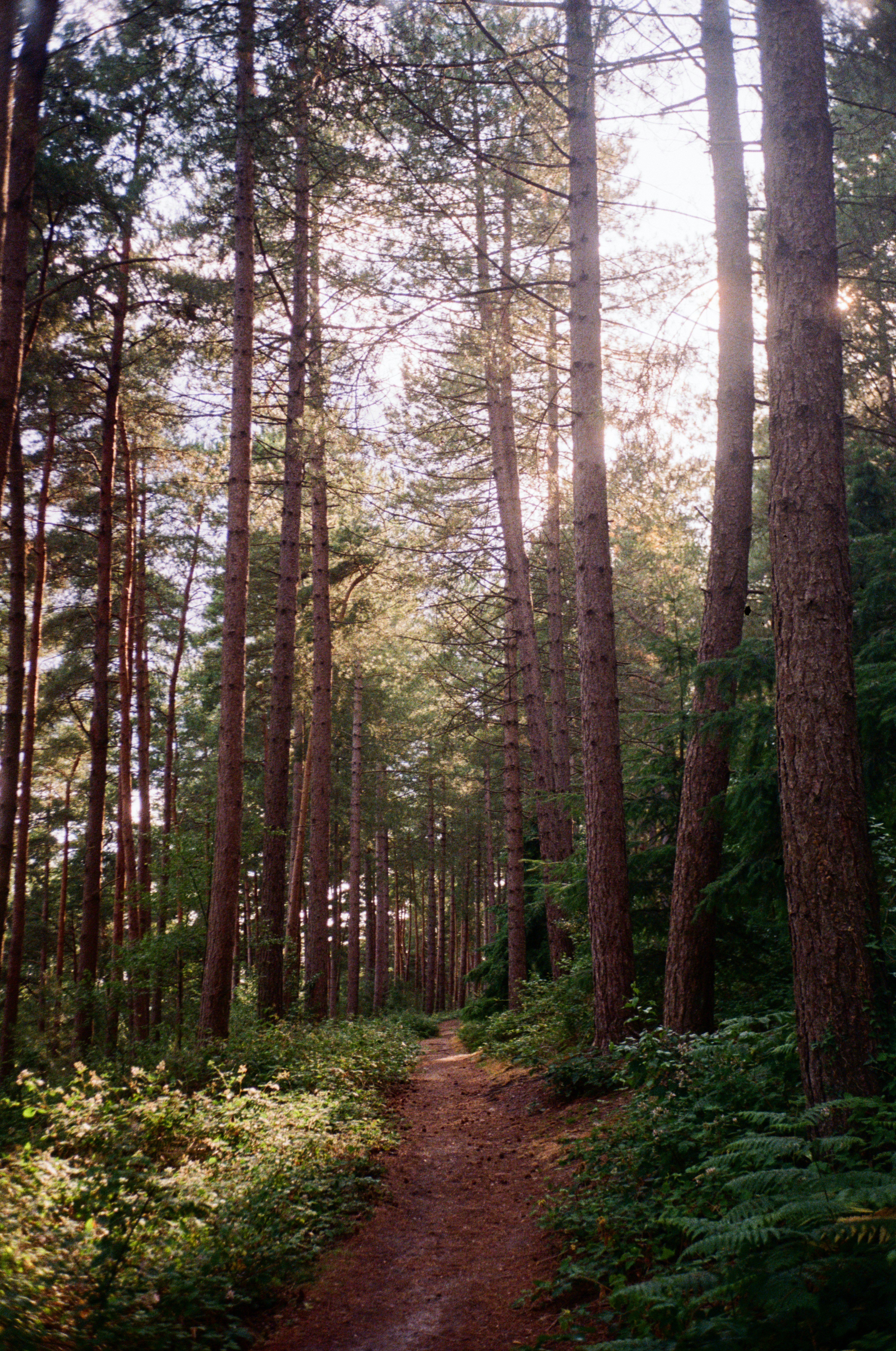 Photo by anniespratt