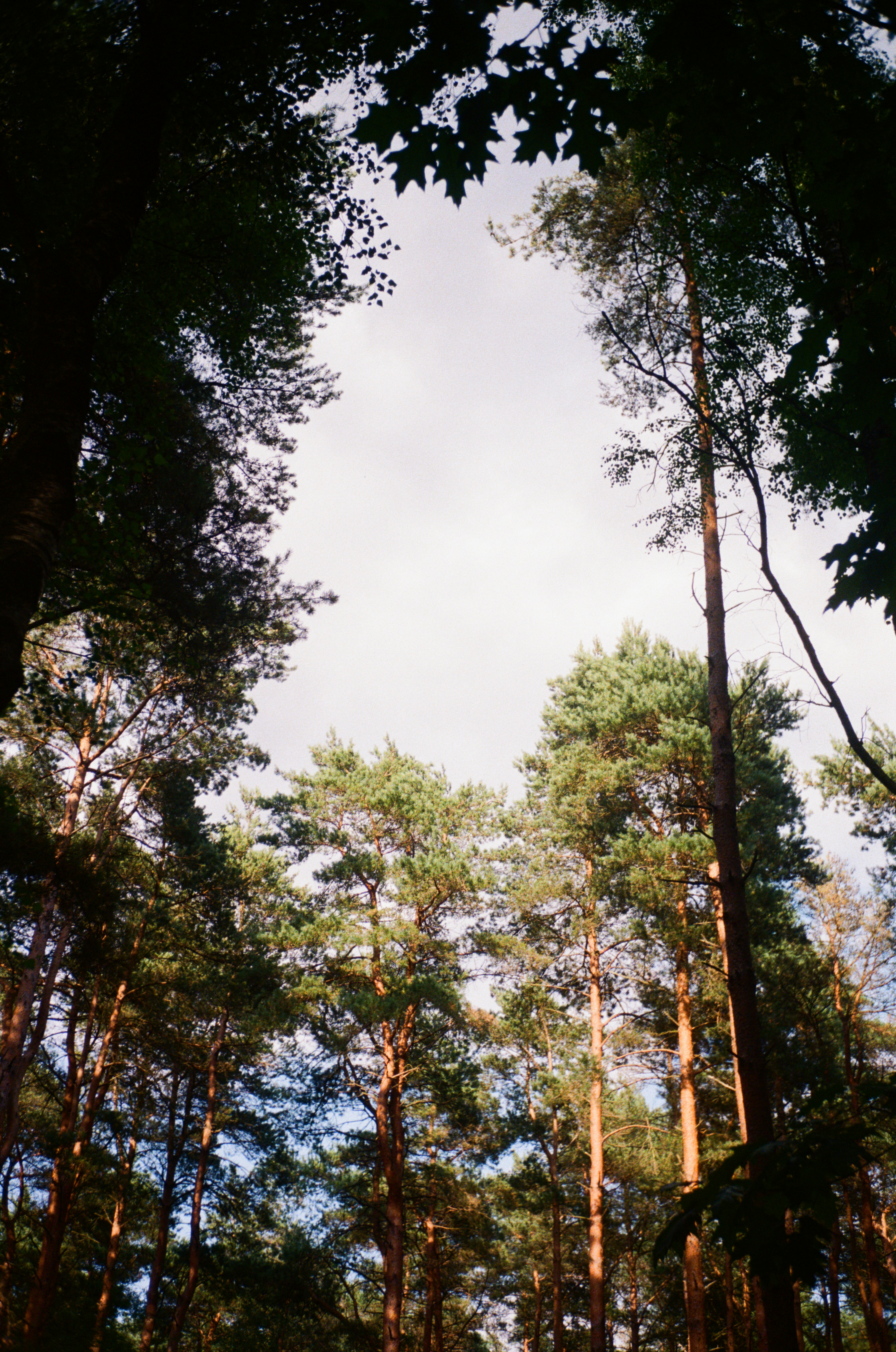 Photo by anniespratt