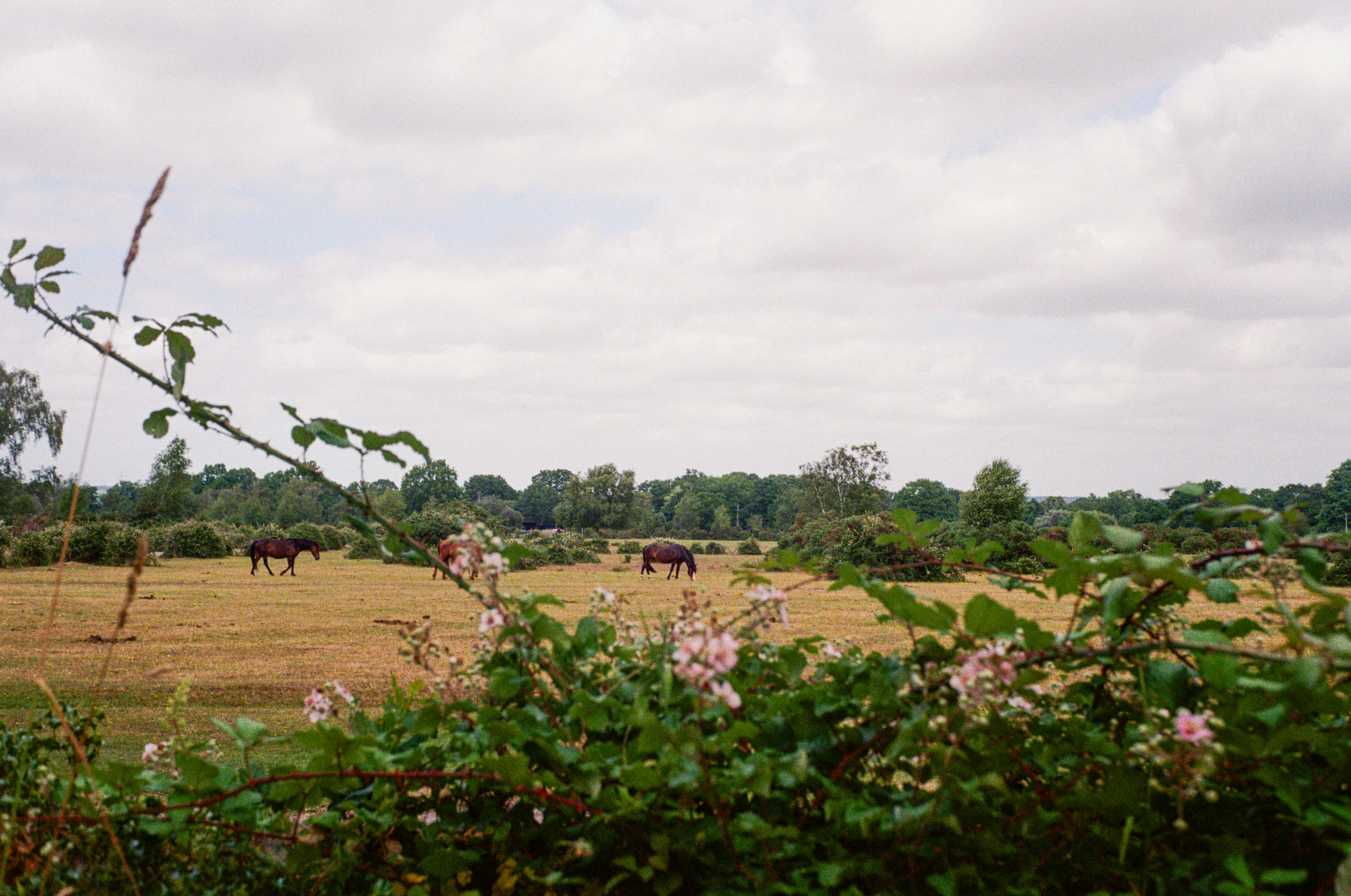 Photo by anniespratt