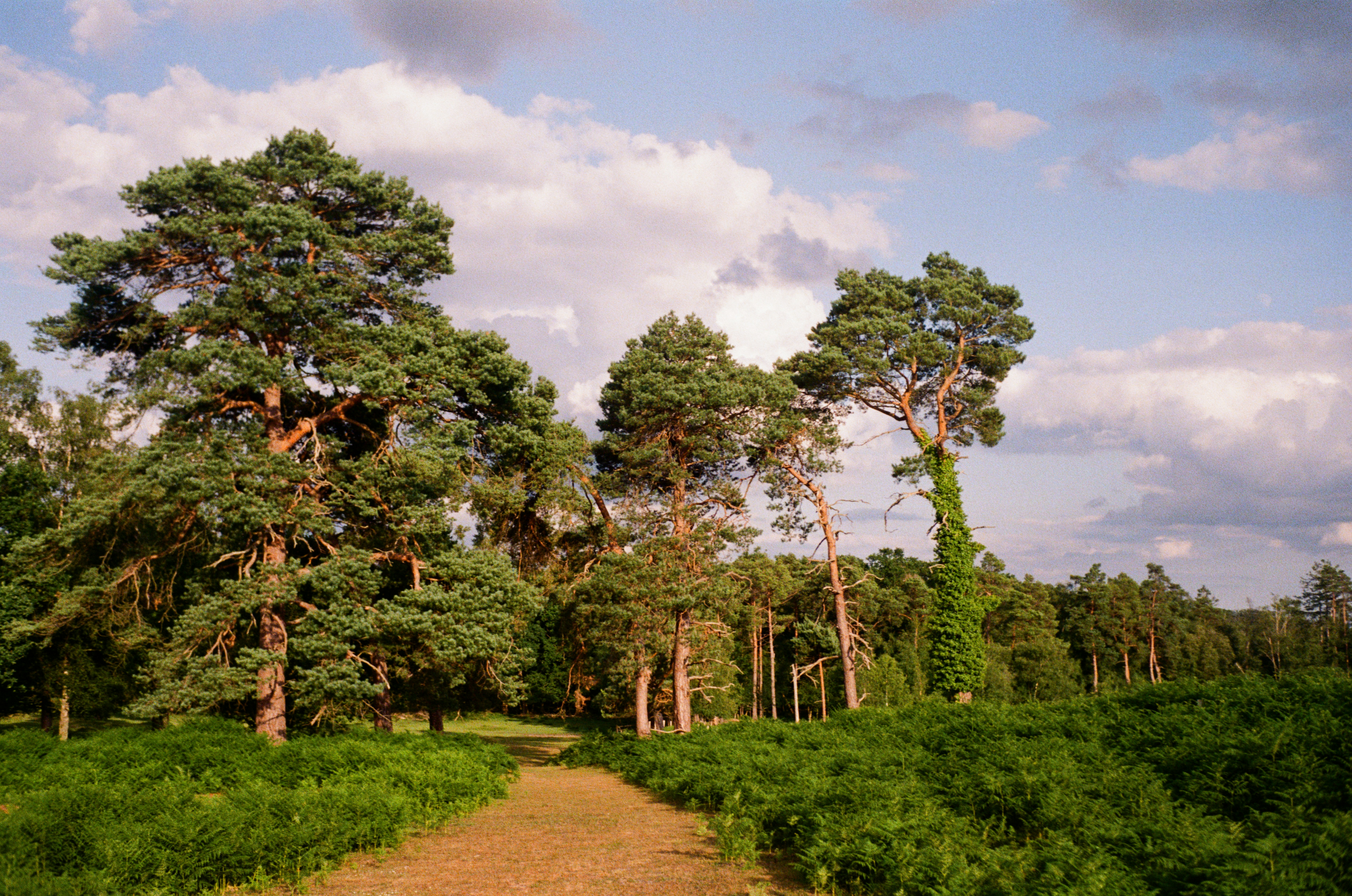 Photo by anniespratt