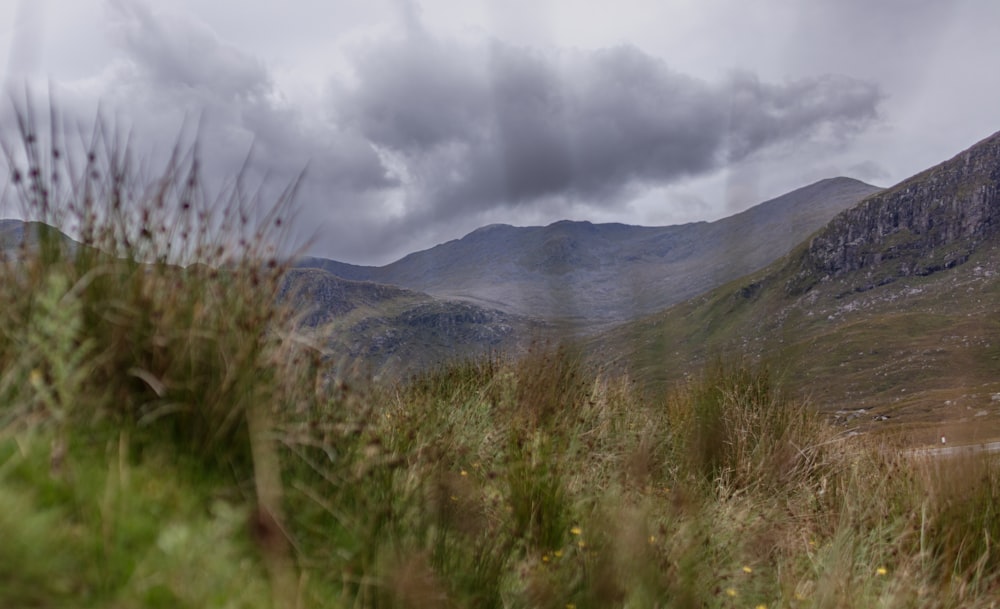 un campo erboso con le montagne sullo sfondo