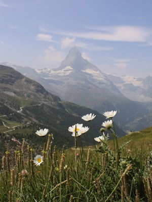 Photo 1691692693121 C69c91104218?q=85&w=300&h=400&fit=crop