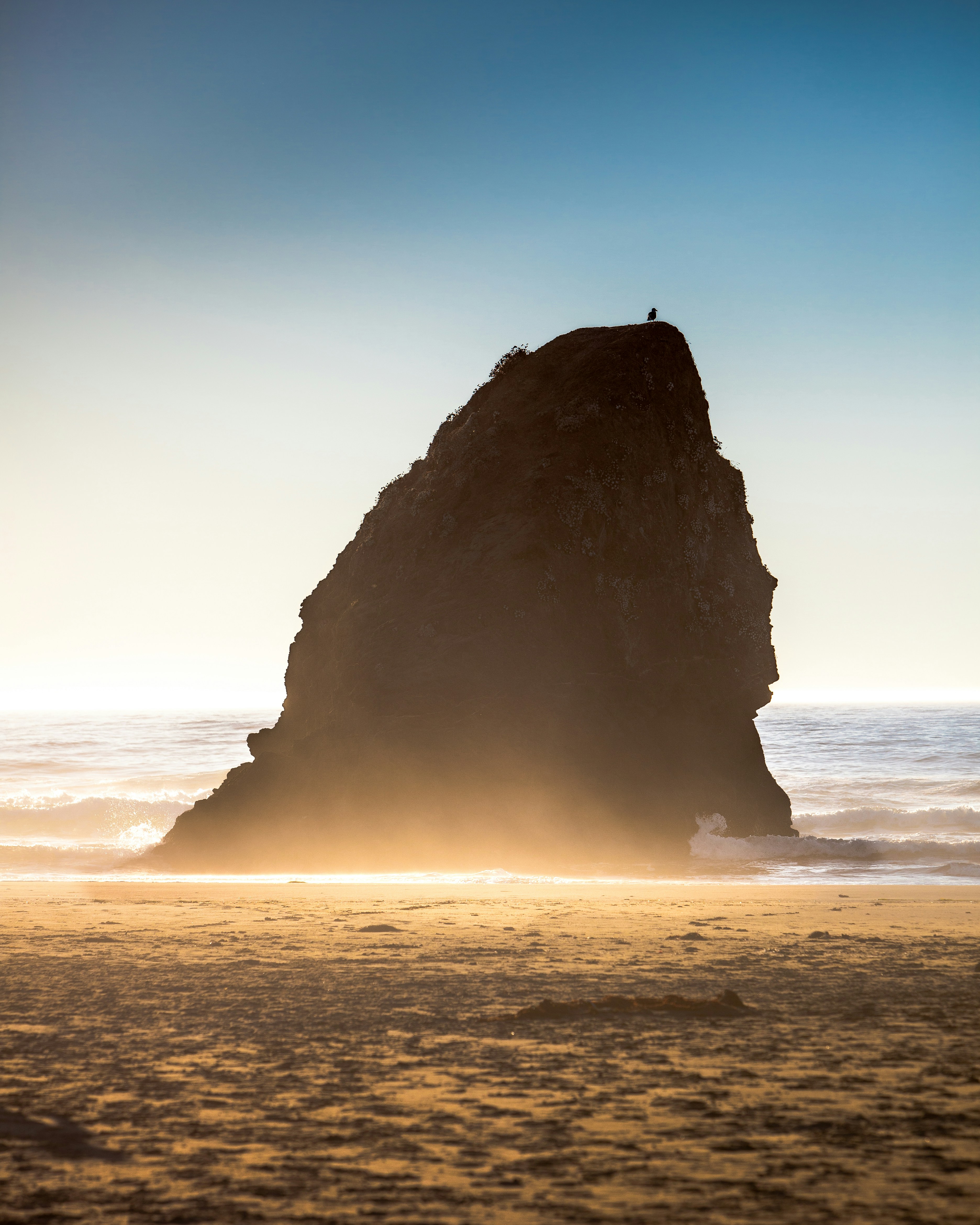 Photo by benisntfunny