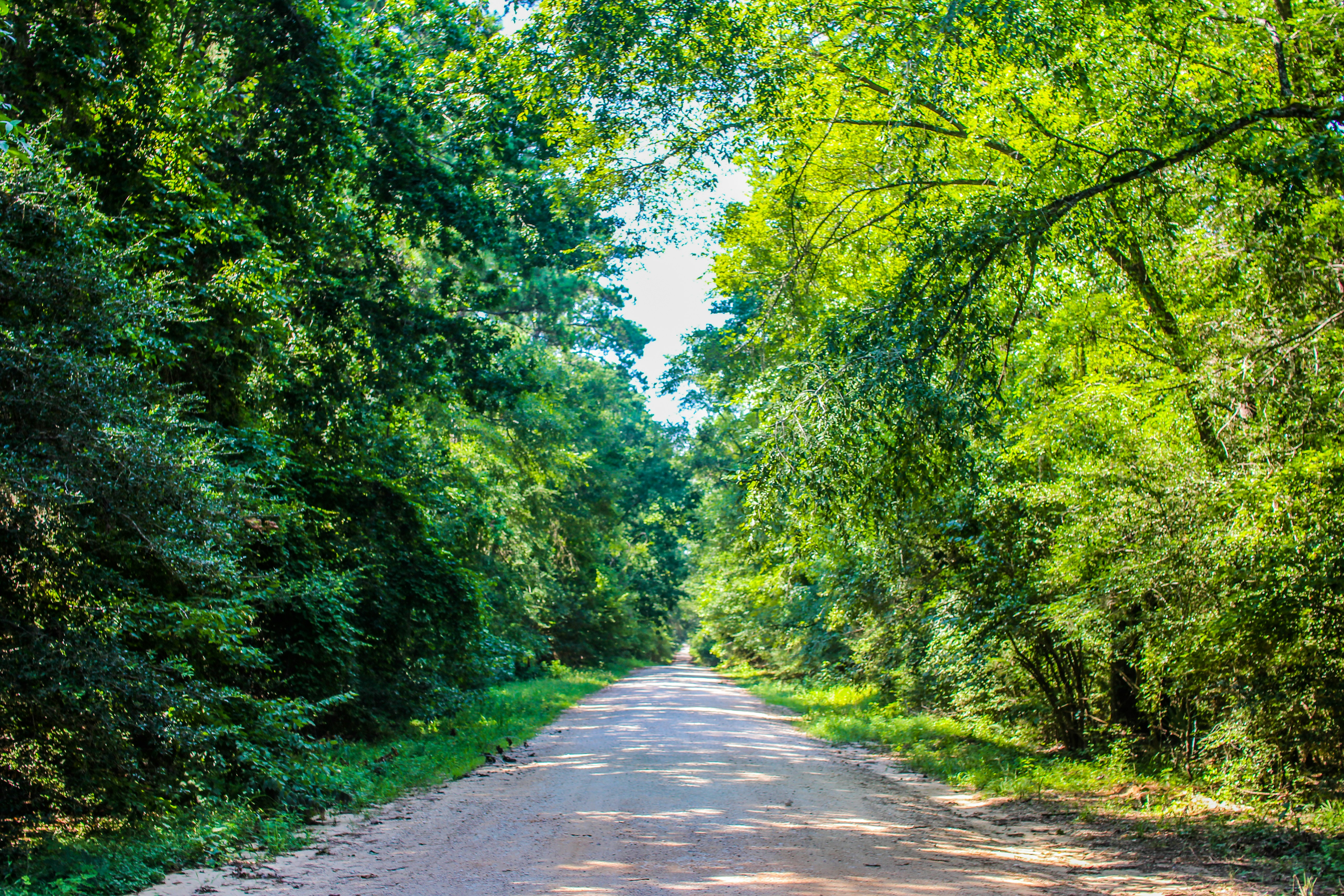 Photo by geraldranca