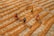 Four people are working in a field, spreading grains with tools. The grains are laid out in neat, wavy rows across the ground, creating a pattern of lines. The individuals are wearing colorful clothing, adding vibrancy to the earthy tones of the grains.