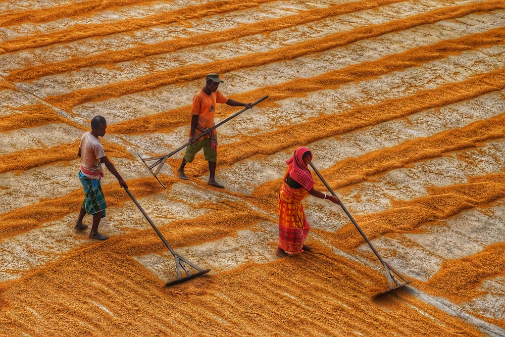 a group of people standing on top of a field