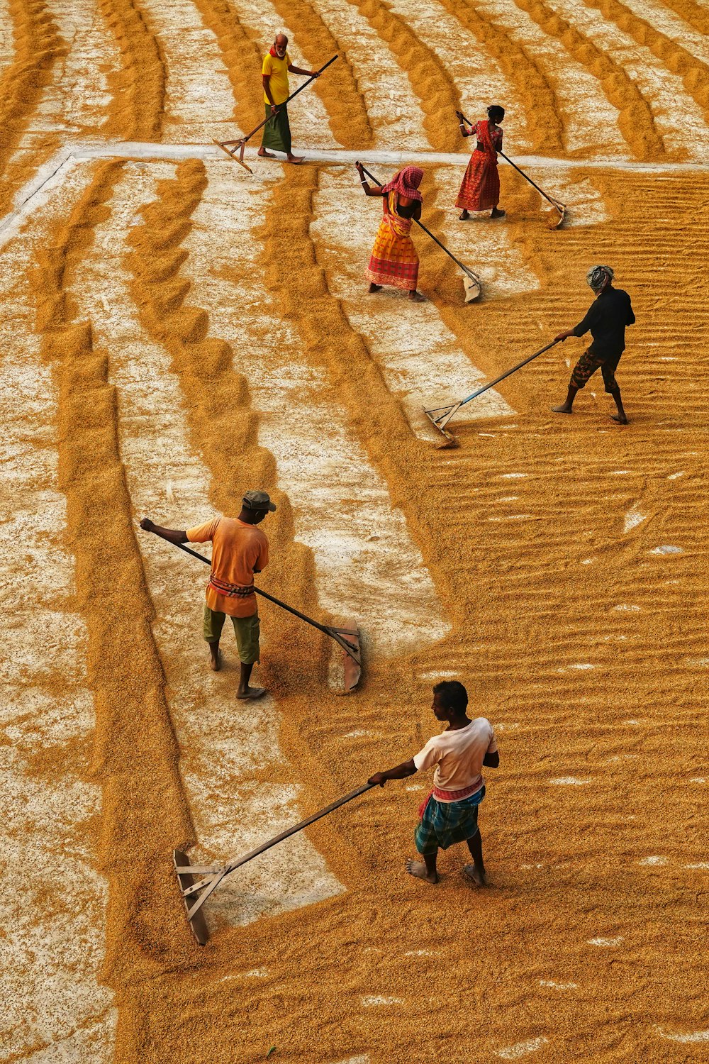 a group of people are working in a field