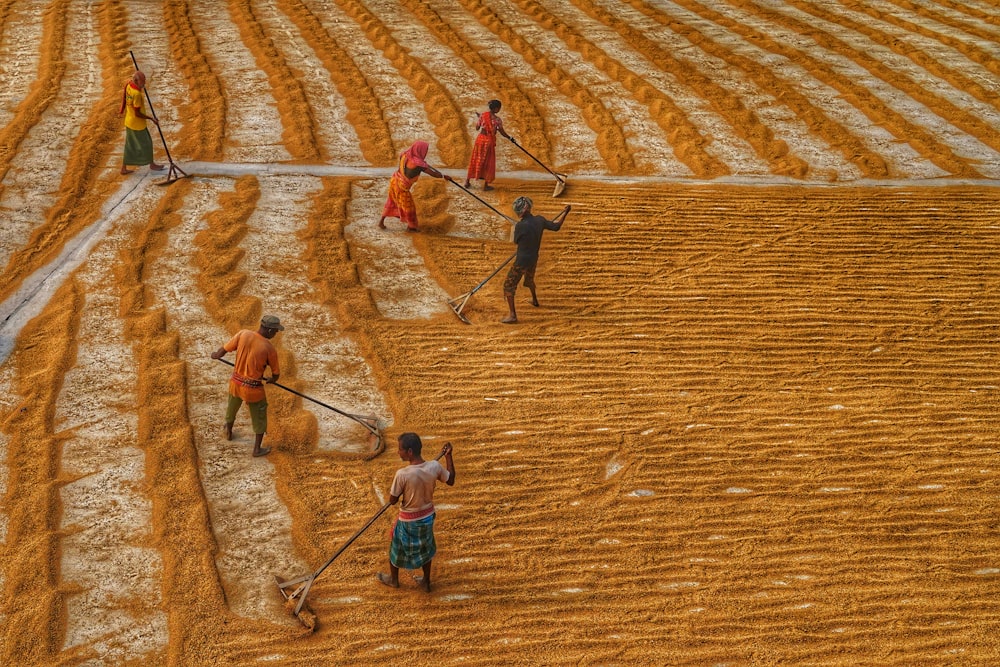 a group of people standing on top of a field