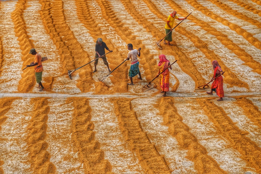 a group of people are working in a field