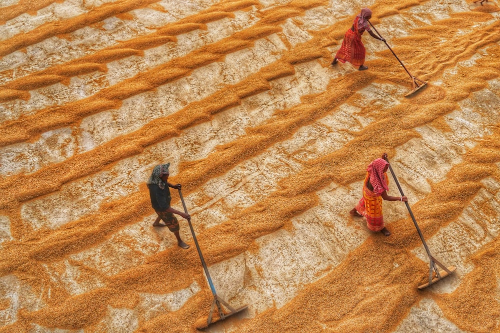 a group of people walking across a field