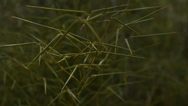 Artistic shot capturing the essence of connected growth with ingredient samples and global supply chain imagery.