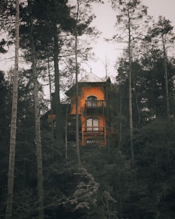 A tall, orange wooden house is nestled among dense trees in a forest. The structure has multiple levels with balconies and large windows, giving it a secluded yet inviting appearance. The surrounding trees are tall and lush, creating a serene, natural setting.