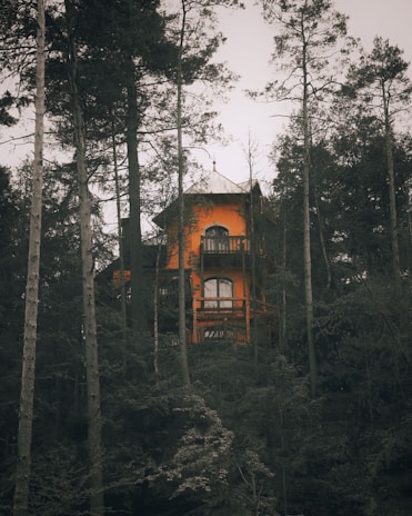 A tall, orange wooden house is nestled among dense trees in a forest. The structure has multiple levels with balconies and large windows, giving it a secluded yet inviting appearance. The surrounding trees are tall and lush, creating a serene, natural setting.