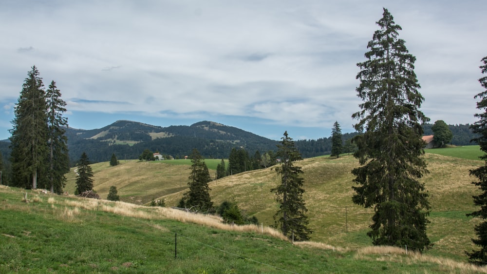 a grassy field with trees and mountains in the background