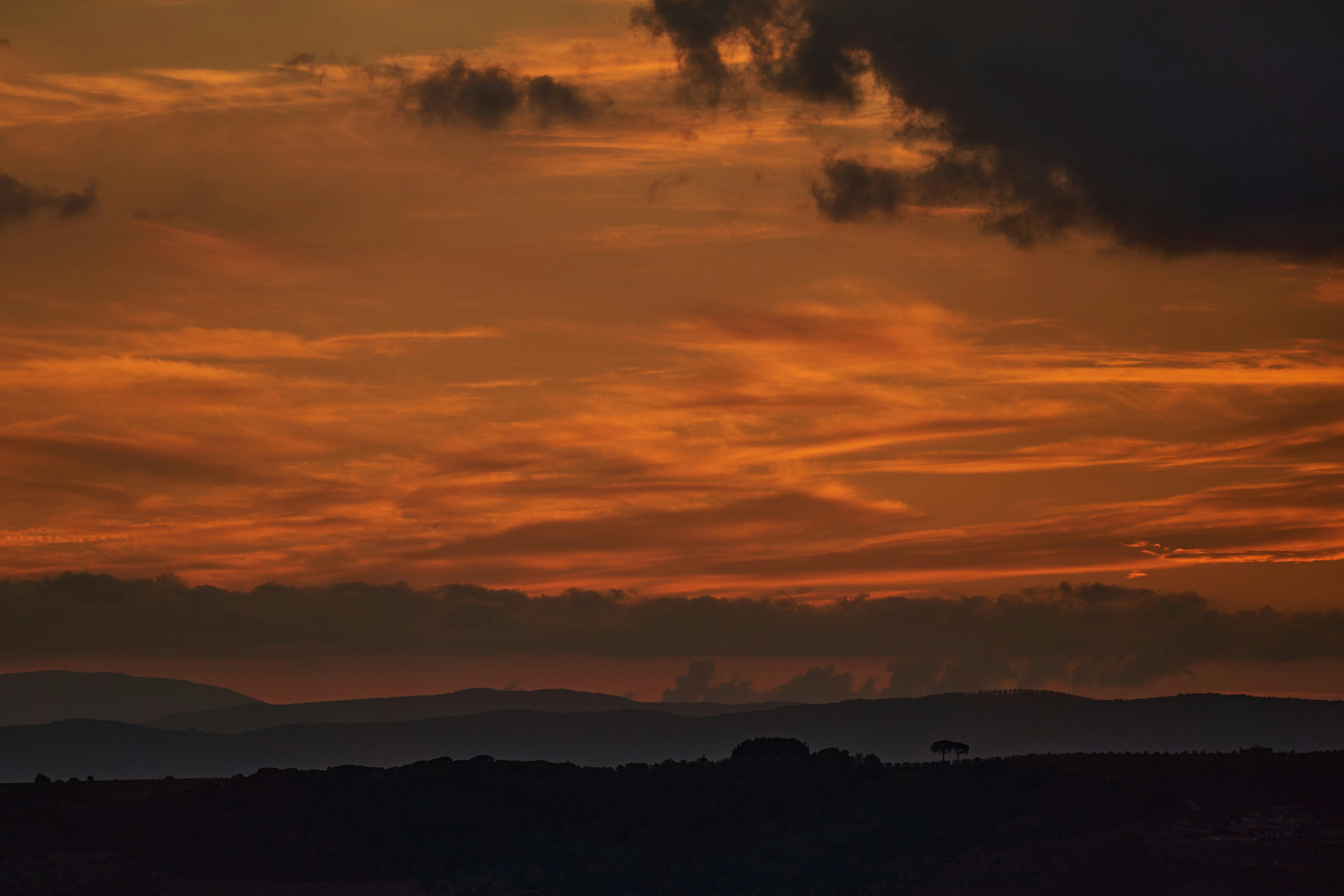 Photo by wolfgang_hasselmann