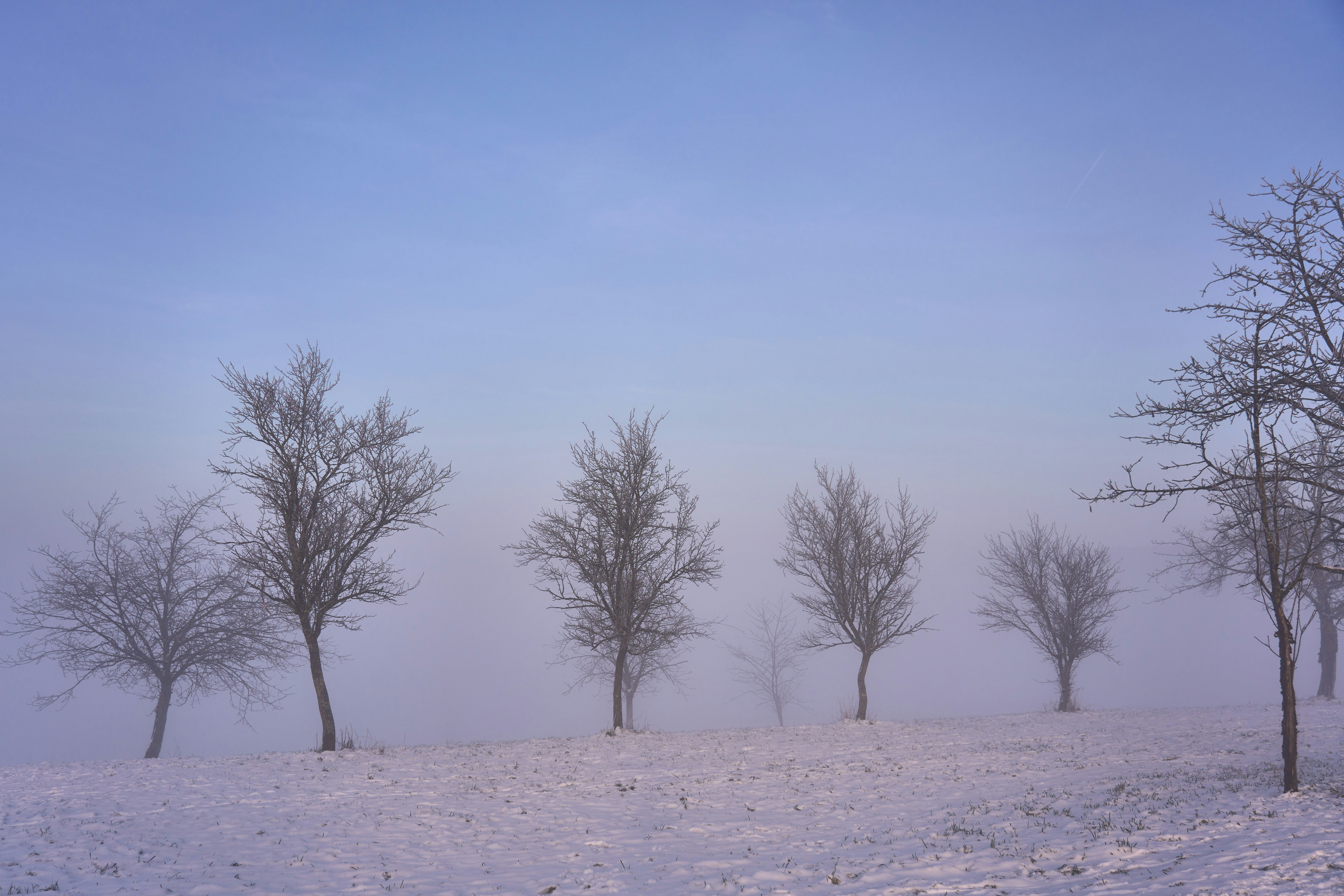 Photo by wolfgang_hasselmann