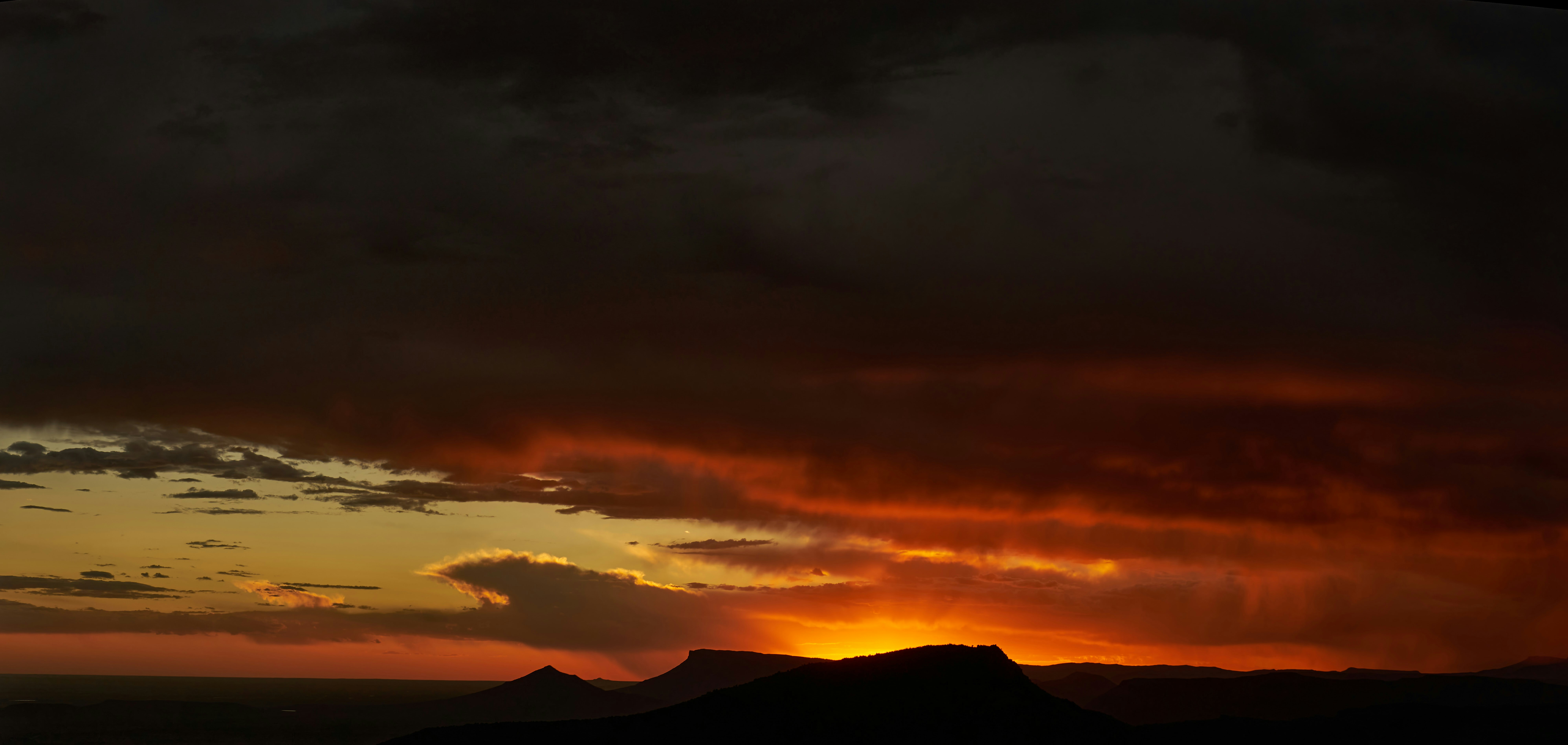 Photo by wolfgang_hasselmann