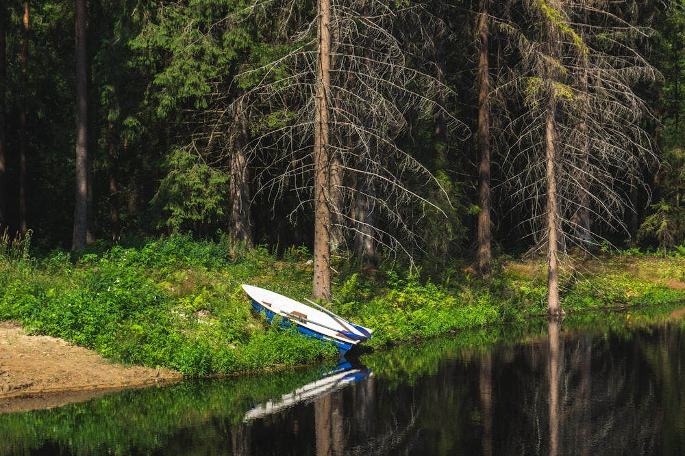 a white and blue boat sitting in the middle of a lake