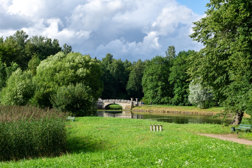 a river running through a lush green park